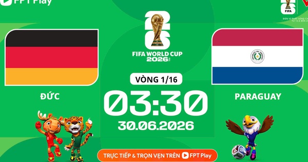 Cá cược thể thao uy tín